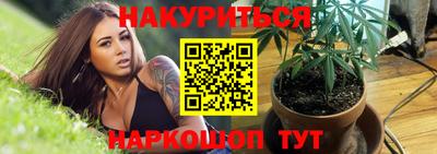 apvp Моздок