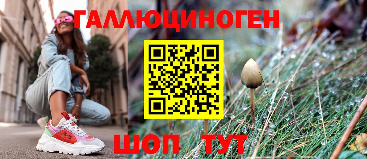 Галлюциногенные грибы GOLDEN TEACHER Красноперекопск