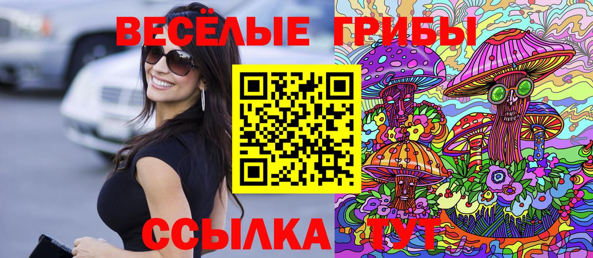 Красноперекопск  Галлюциногенные грибы мицелий  что такое наркотик  Вход с VPN 